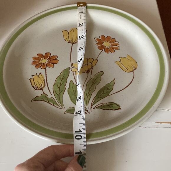 Vintage Country Casual “Sunnyvale” Dinner Plates, Set of 2 - Picture 7 of 7